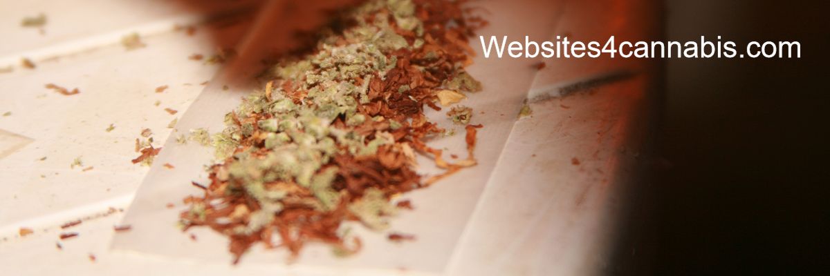 websites4cannabis.funktify.xyz